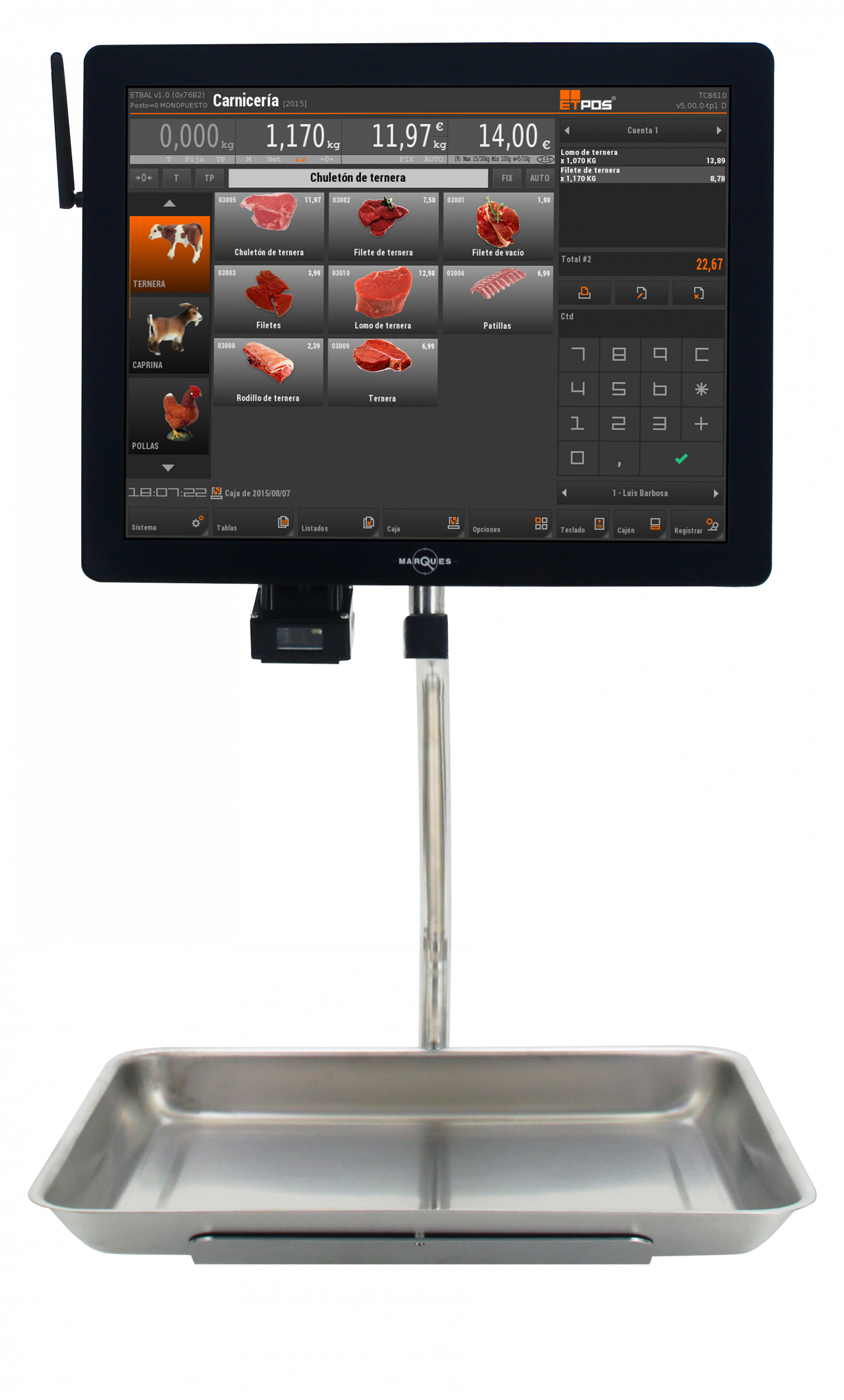 balanza arm colgante